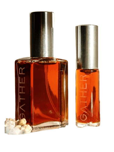 Gather Perfume Chandra