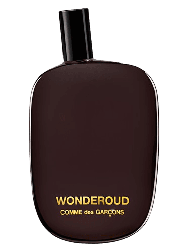 Comme des Garcons Wonderoud