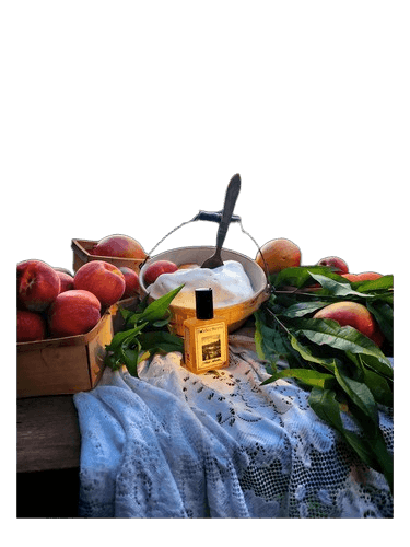 Solstice Scents Iced Nectar