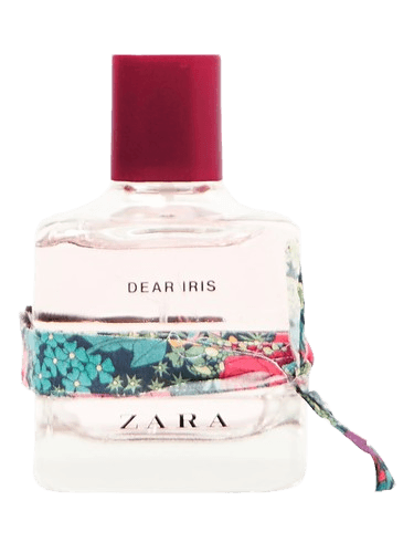 Zara Dear Iris
