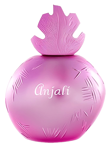 Reminiscence Anjali
