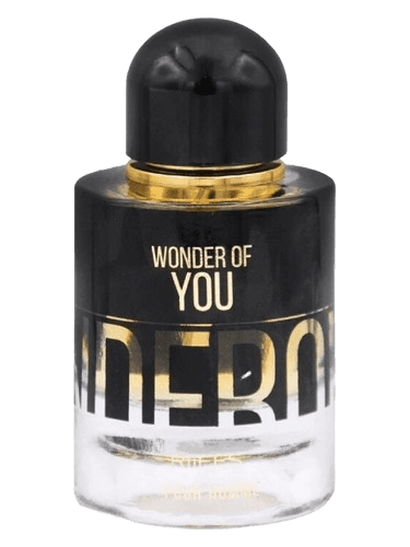 Riiffs Perfumes Wonder of You Men