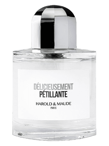 Harold & Maude Délicieusement Pétillante