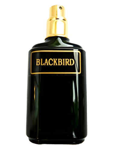 Meshaz Natural Perfumes Blackbird