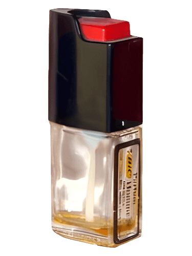 Bic Bic Homme