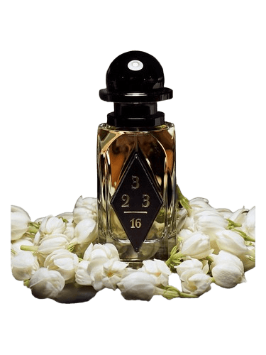 OrdioLab Wild Jasmine