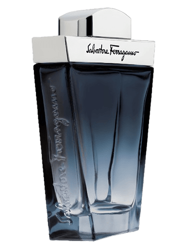 Salvatore Ferragamo Salvatore Ferragamo Subtil Pour Homme