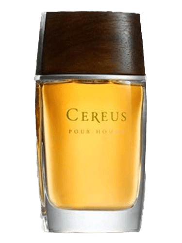 Cereus Cereus No.11