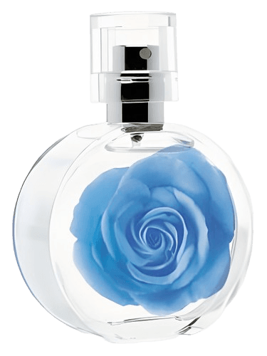 mark. mark Garden Blu