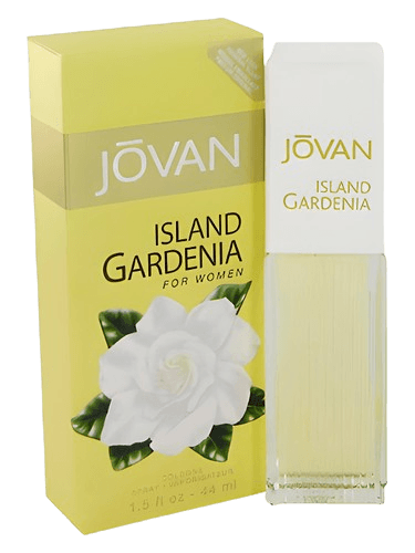 Jovan Island Gardenia