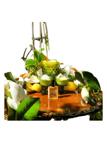 Solstice Scents Solstice Magnolia