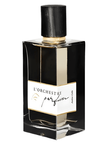 L'Orchestre Parfum Ambre Cello