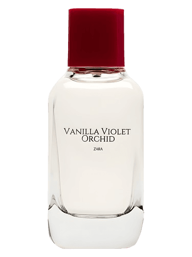 Zara Vanilla Violet Orchid
