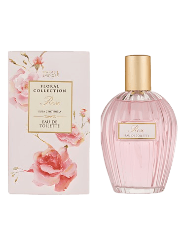 Marks & Spencer Rose