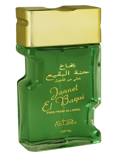 Nabeel Jannet El Baqui