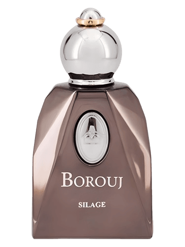 Borouj Silage