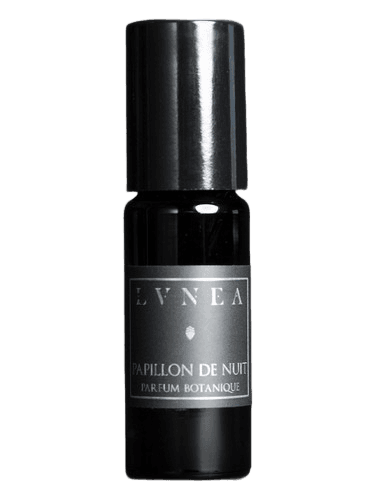 Lvnea Papillon de Nuit