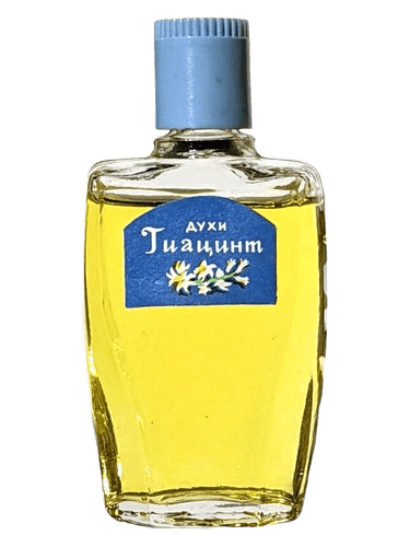 Северное сияние Гиацинт (Hyacinth)