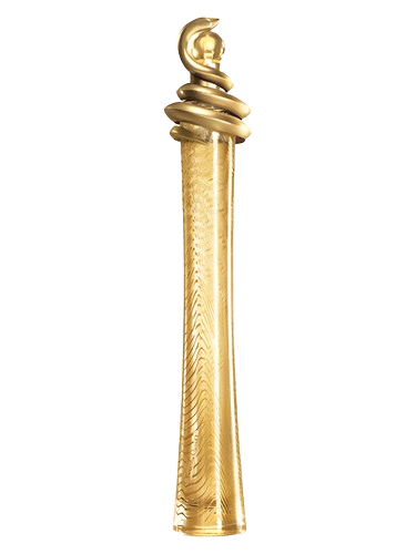 Roberto Cavalli Roberto Cavalli Oro
