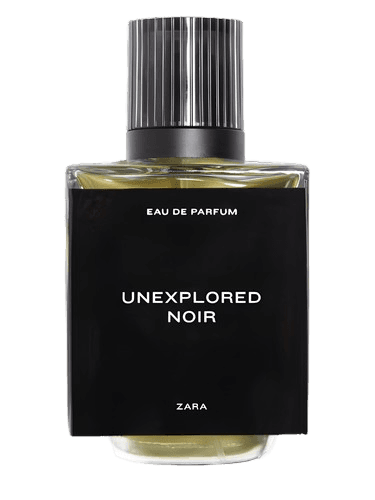 Zara Unexplored Noir
