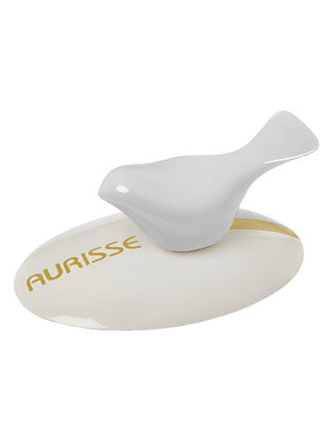 S4P Aurisse