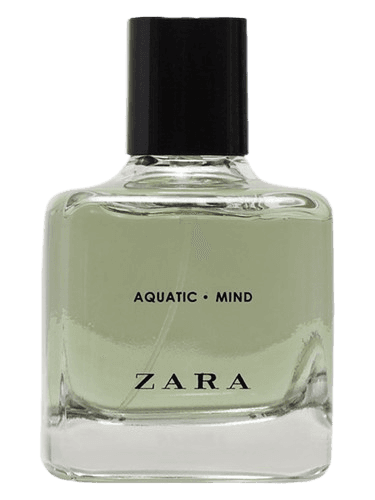 Zara Aquatic Mind