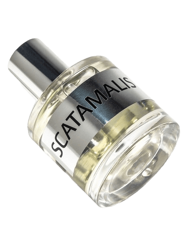 JD Jeffrey Dame JD Scatamalis Base