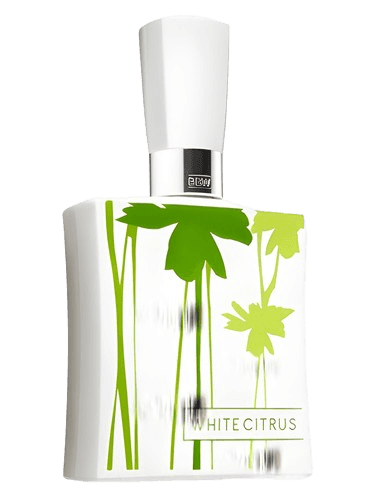 Bath & Body Works White Citrus