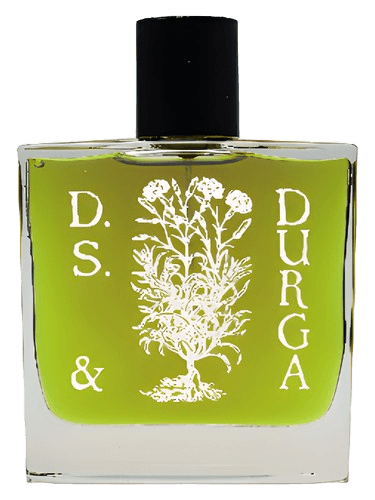 DS&Durga Boston Ivy
