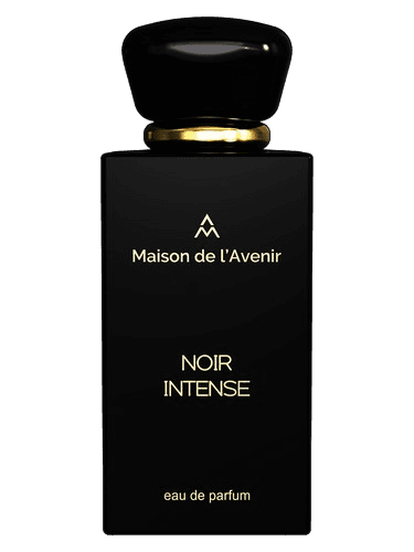 Maison de l'Avenir Noir Intense