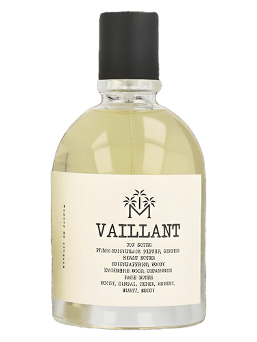 Moudon Vaillant