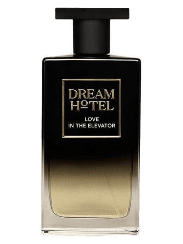 Dream Hotel Love In The Elevator