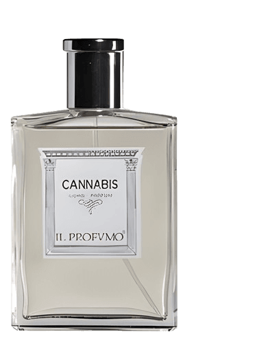 Il Profvmo Osmo Scents Cannabis