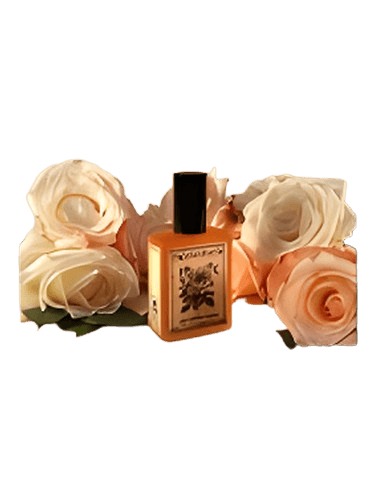Solstice Scents Rose Mallow Cream