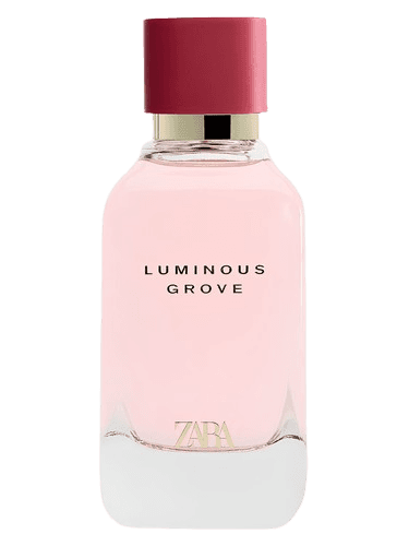 Zara Luminous Grove