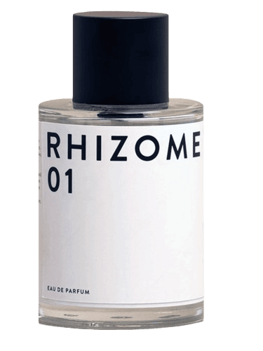 Rhizome Rhizome 01