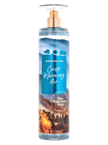 Bath & Body Works Crisp Morning Air