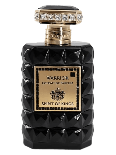 Spirit Of Kings Warrior