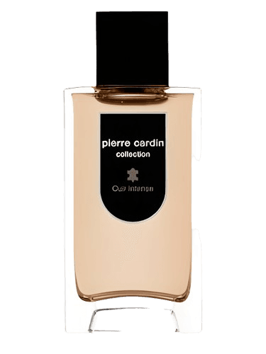 Pierre Cardin Pierre Cardin Collection Cuir Intense