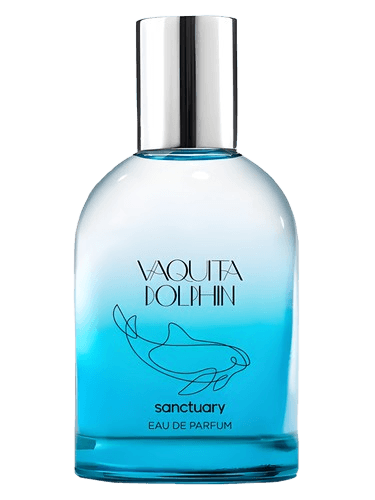 Sanctuary Vaquita Dolphin