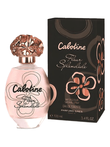 Grès Cabotine Fleur Splendide