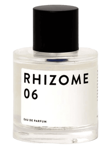 Rhizome Rhizome 06
