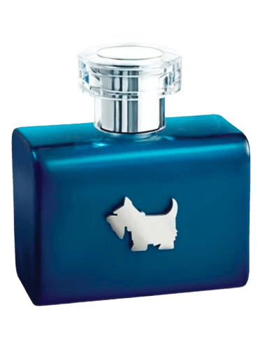 Ferrioni Terrier Blue