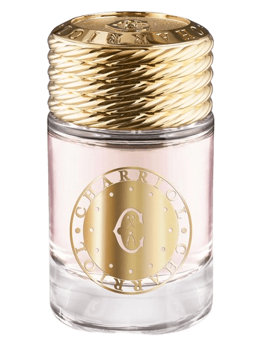 Charriol Infinite Celtic For Women