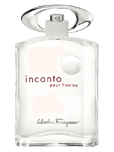 Salvatore Ferragamo Incanto Pour Homme