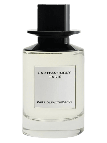 Zara Captivatingly Paris
