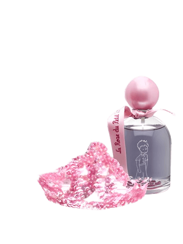 Le Petit Prince La Rose du Petit Prince