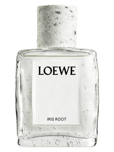 Loewe Iris Root