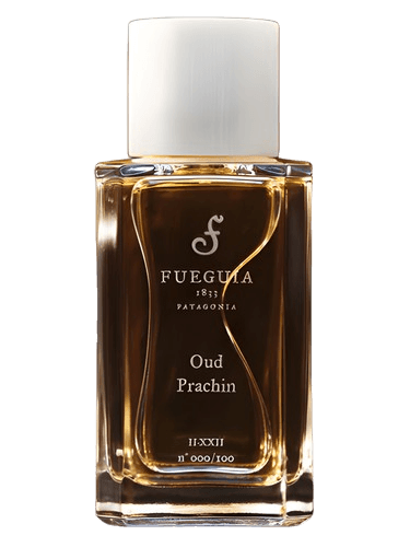 Fueguia 1833 Oud Prachin