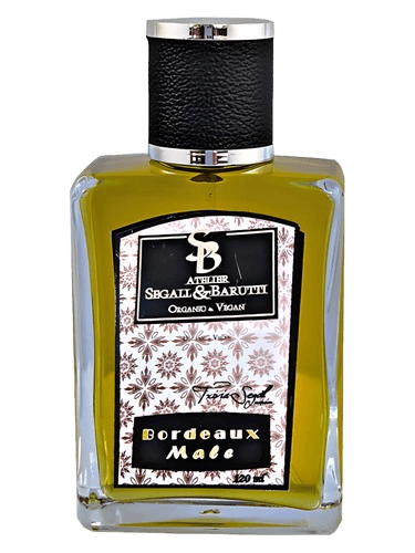 Atelier Segall & Barutti Bordeaux Male